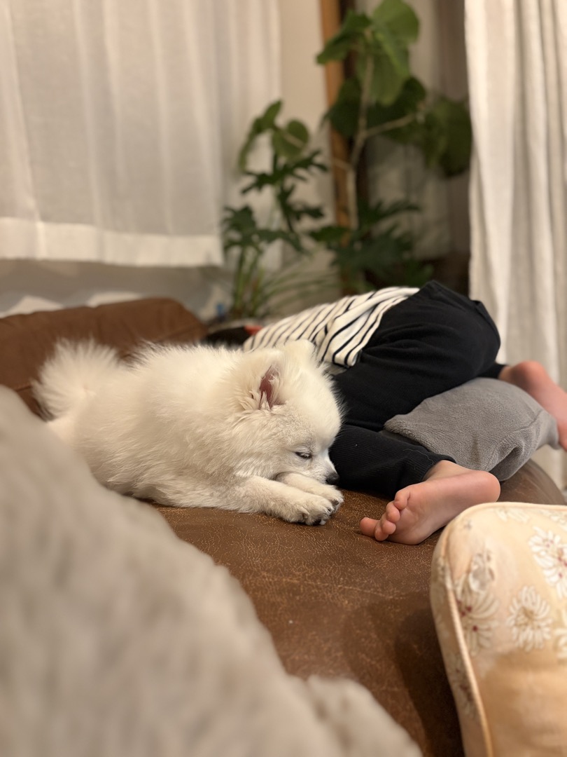 ぽっちゃん写真3