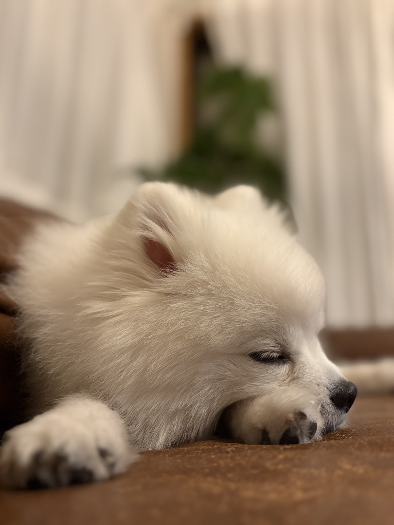 ぽっちゃん写真4