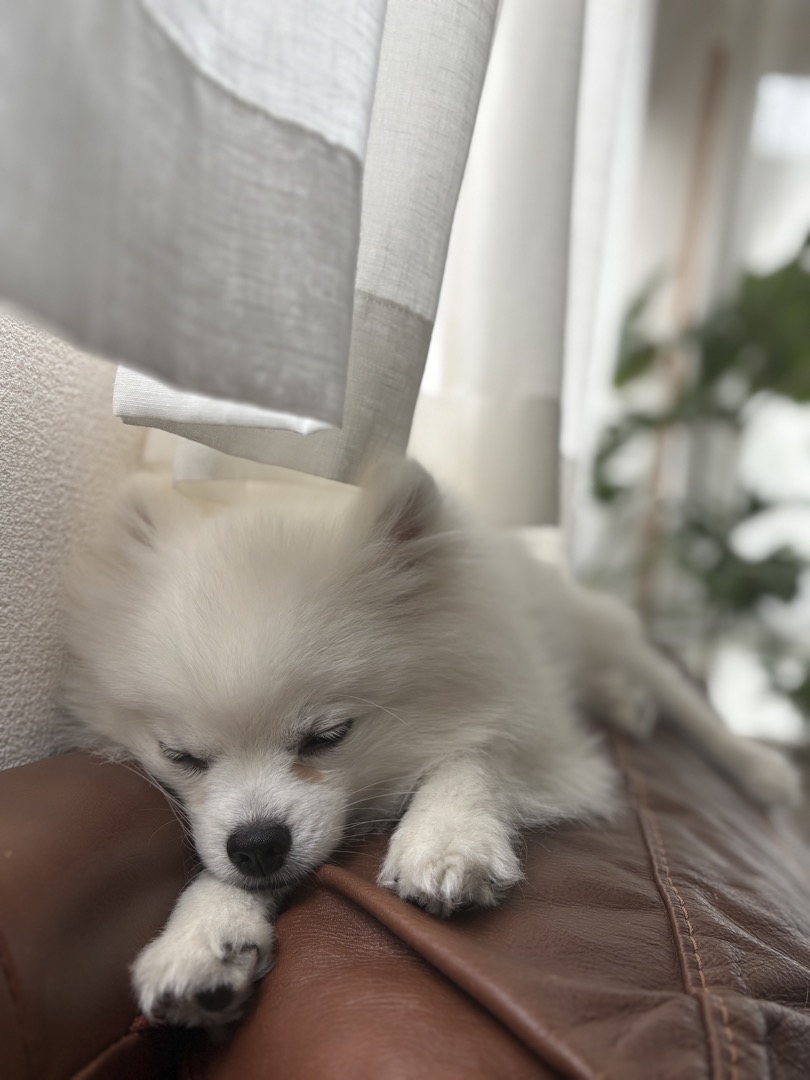 ぽっちゃん写真6
